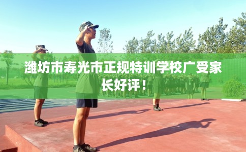 潍坊市寿光市正规特训学校广受家长好评！
