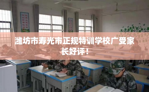 潍坊市寿光市正规特训学校广受家长好评！