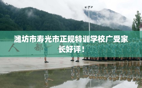 潍坊市寿光市正规特训学校广受家长好评！
