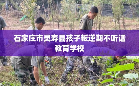 石家庄市灵寿县孩子叛逆期不听话教育学校 石家庄市灵寿县孩子叛逆期不听话教育学校