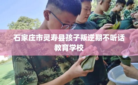 石家庄市灵寿县孩子叛逆期不听话教育学校 石家庄市灵寿县孩子叛逆期不听话教育学校