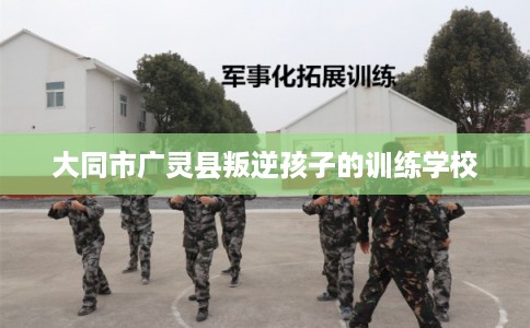 大同市广灵县叛逆孩子的训练学校