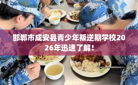 邯郸市成安县青少年叛逆期学校2026年迅速了解！
