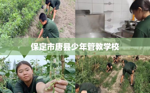 保定市唐县少年管教学校 保定市唐县少年管教学校