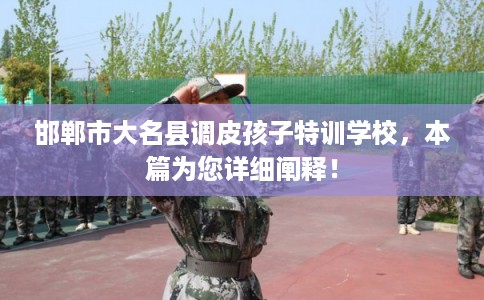 邯郸市大名县调皮孩子特训学校，本篇为您详细阐释！