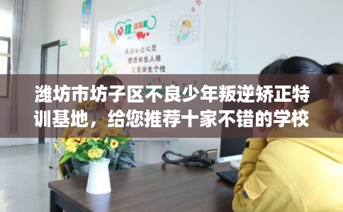 潍坊市坊子区不良少年叛逆矫正特训基地，给您推荐十家不错的学校！