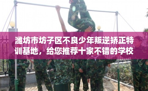 潍坊市坊子区不良少年叛逆矫正特训基地，给您推荐十家不错的学校！