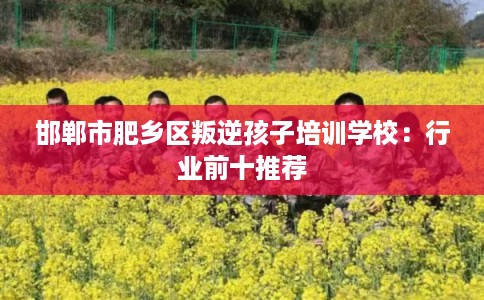 邯郸市肥乡区叛逆孩子培训学校：行业前十推荐