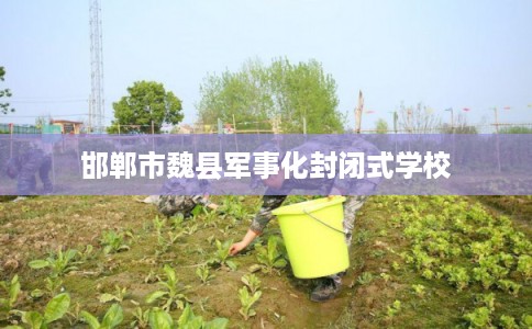 邯郸市魏县军事化封闭式学校