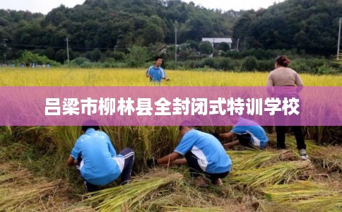 吕梁市柳林县全封闭式特训学校