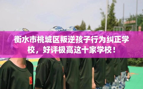 衡水市桃城区叛逆孩子行为纠正学校,好评极高这十家学校! 衡水市桃城区叛逆孩子行为纠正学校,好评极高这十家学校!