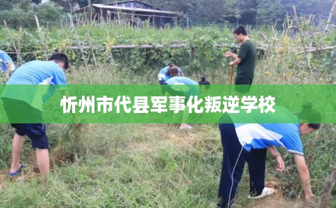 忻州市代县军事化叛逆学校 忻州市代县军事化叛逆学校