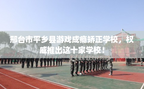 邢台市平乡县游戏成瘾矫正学校，权威推出这十家学校！