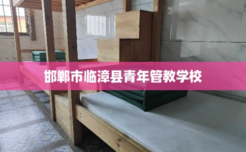邯郸市临漳县青年管教学校 邯郸市临漳县青年管教学校