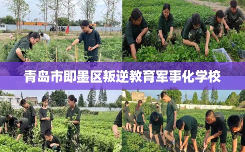 青岛市即墨区叛逆教育军事化学校 青岛市即墨区叛逆教育军事化学校