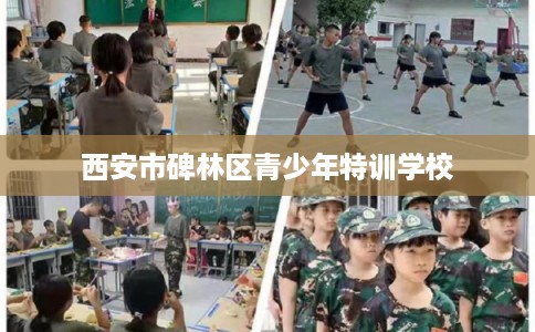 西安市碑林区青少年特训学校 西安市碑林区青少年特训学校