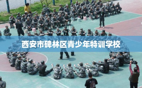西安市碑林区青少年特训学校 西安市碑林区青少年特训学校