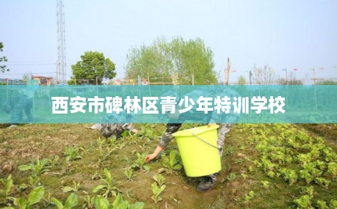 西安市碑林区青少年特训学校 西安市碑林区青少年特训学校