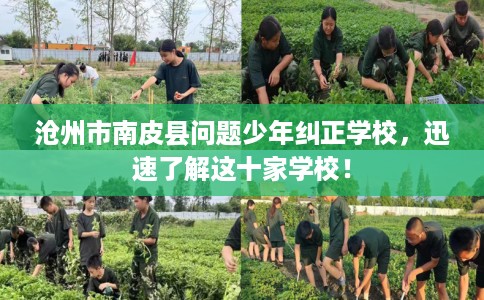 沧州市南皮县问题少年纠正学校，迅速了解这十家学校！