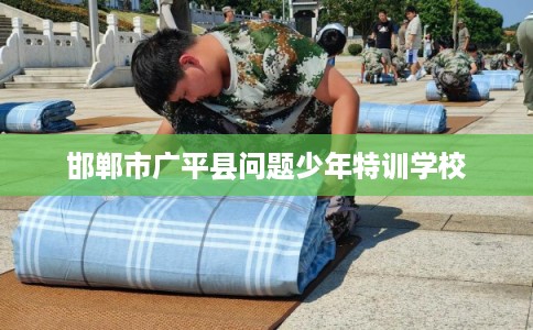 邯郸市广平县问题少年特训学校 邯郸市广平县问题少年特训学校