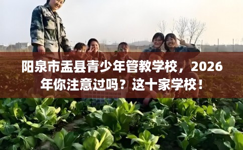 阳泉市盂县青少年管教学校，2026年你注意过吗？这十家学校！