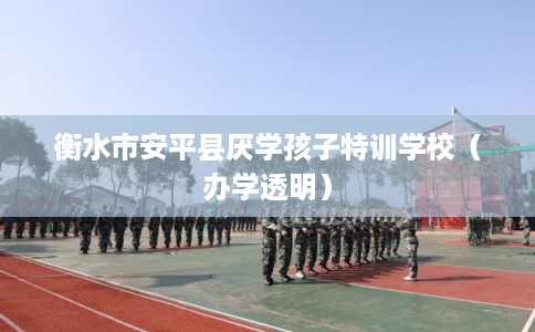 衡水市安平县厌学孩子特训学校(办学透明) 衡水市安平县厌学孩子特训学校(办学透明)