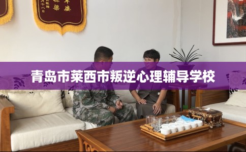 青岛市莱西市叛逆心理辅导学校