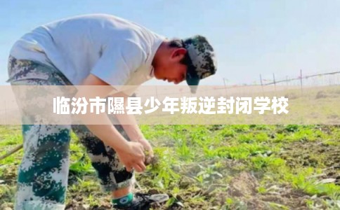 临汾市隰县少年叛逆封闭学校 临汾市隰县少年叛逆封闭学校