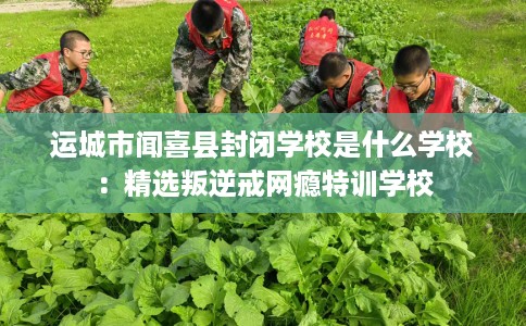 运城市闻喜县封闭学校是什么学校:精选叛逆戒网瘾特训学校 运城市闻喜县封闭学校是什么学校:精选叛逆戒网瘾特训学校