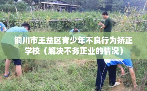 铜川市王益区青少年不良行为矫正学校（解决不务正业的情况）