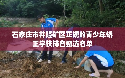石家庄市井陉矿区正规的青少年矫正学校排名甄选名单 石家庄市井陉矿区正规的青少年矫正学校排名甄选名单