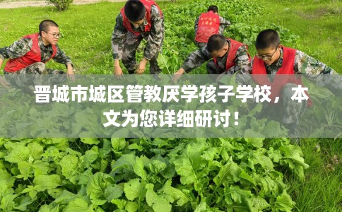 晋城市城区管教厌学孩子学校,本文为您详细研讨! 晋城市城区管教厌学孩子学校,本文为您详细研讨!