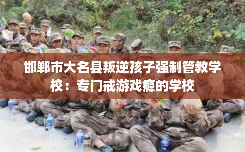 邯郸市大名县叛逆孩子强制管教学校:专门戒游戏瘾的学校 邯郸市大名县叛逆孩子强制管教学校:专门戒游戏瘾的学校