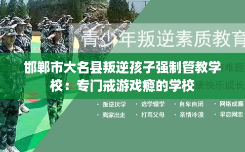邯郸市大名县叛逆孩子强制管教学校:专门戒游戏瘾的学校 邯郸市大名县叛逆孩子强制管教学校:专门戒游戏瘾的学校