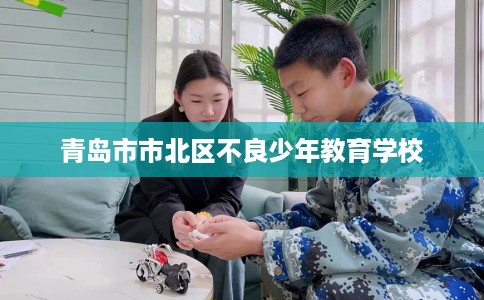 青岛市市北区不良少年教育学校 青岛市市北区不良少年教育学校
