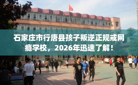 石家庄市行唐县孩子叛逆正规戒网瘾学校，2026年迅速了解！