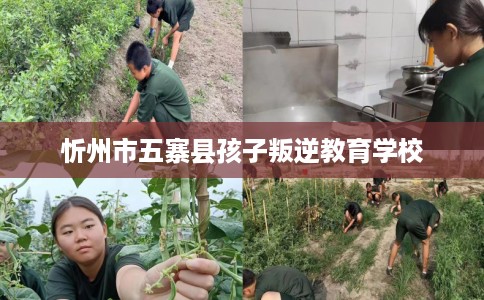 忻州市五寨县孩子叛逆教育学校