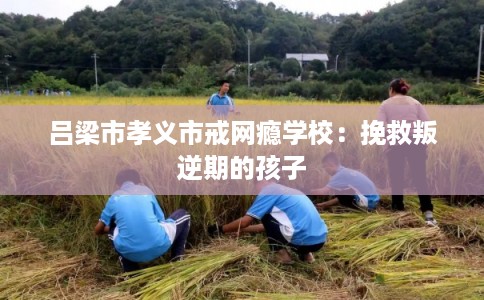 吕梁市孝义市戒网瘾学校：挽救叛逆期的孩子