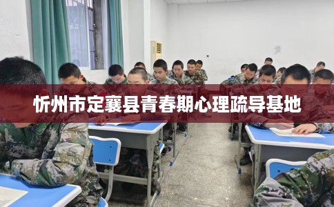 忻州市定襄县青春期心理疏导基地 忻州市定襄县青春期心理疏导基地