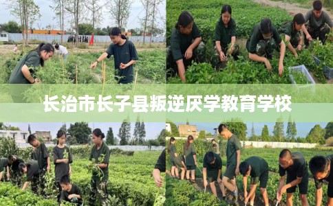 长治市长子县叛逆厌学教育学校 长治市长子县叛逆厌学教育学校