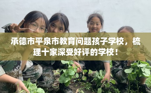 承德市平泉市教育问题孩子学校,梳理十家深受好评的学校! 承德市平泉市教育问题孩子学校,梳理十家深受好评的学校!