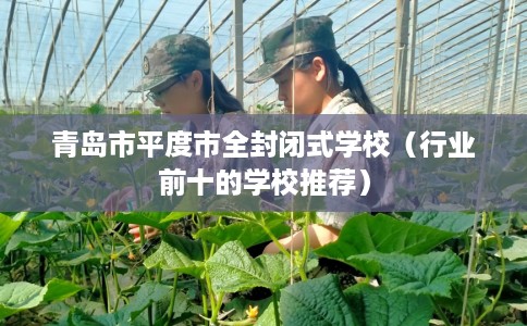 青岛市平度市全封闭式学校（行业前十的学校推荐）