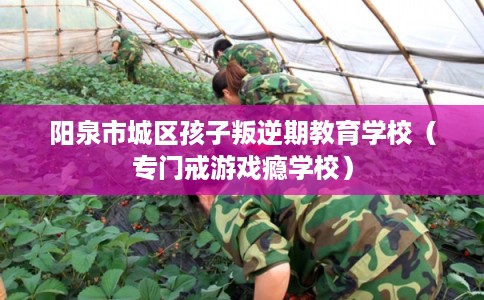 阳泉市城区孩子叛逆期教育学校（专门戒游戏瘾学校）