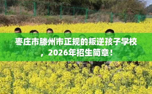 枣庄市滕州市正规的叛逆孩子学校，2026年招生简章！