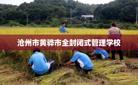 沧州市黄骅市全封闭式管理学校 沧州市黄骅市全封闭式管理学校