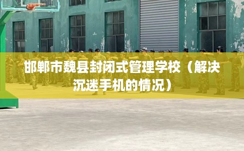 邯郸市魏县封闭式管理学校（解决沉迷手机的情况）
