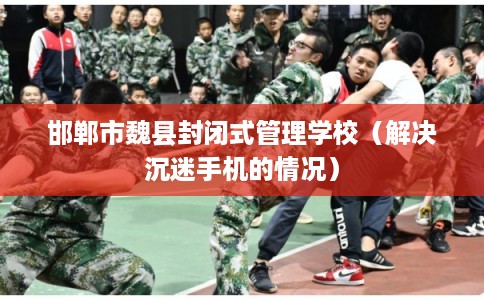 邯郸市魏县封闭式管理学校（解决沉迷手机的情况）