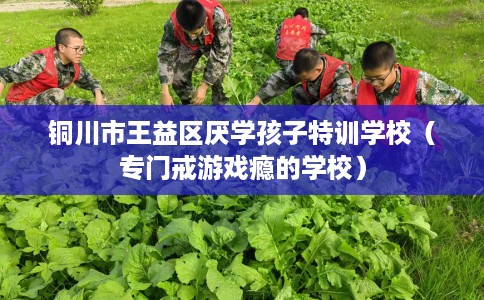 铜川市王益区厌学孩子特训学校(专门戒游戏瘾的学校) 铜川市王益区厌学孩子特训学校(专门戒游戏瘾的学校)