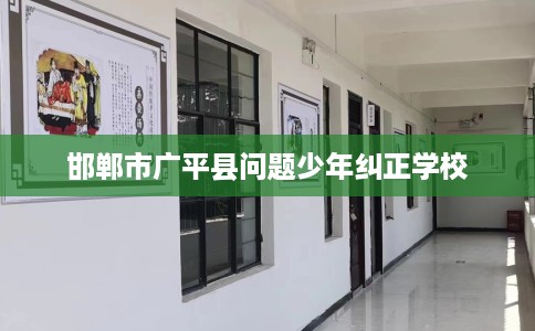 邯郸市广平县问题少年纠正学校 邯郸市广平县问题少年纠正学校