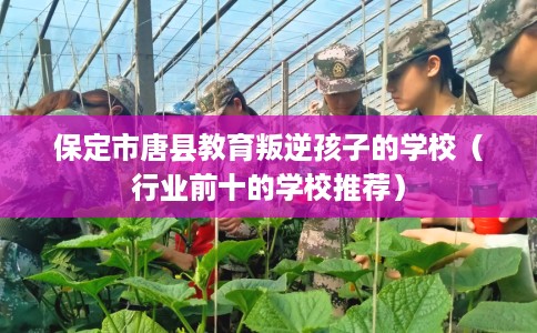 保定市唐县教育叛逆孩子的学校（行业前十的学校推荐）
